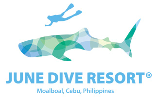 June Dive Resort